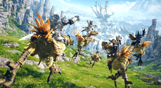 Chocobos!