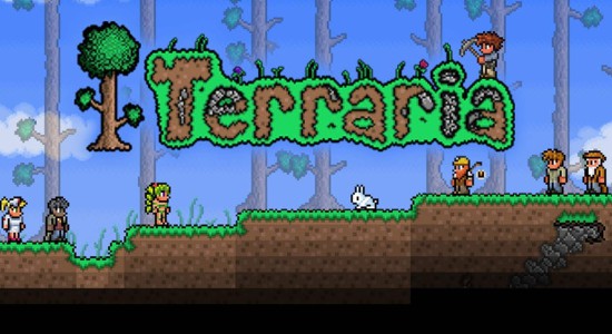 Det tog över två år från att Terraria släpptes till PC tills dess att det nådde konsolerna - på tok för långsamt! 